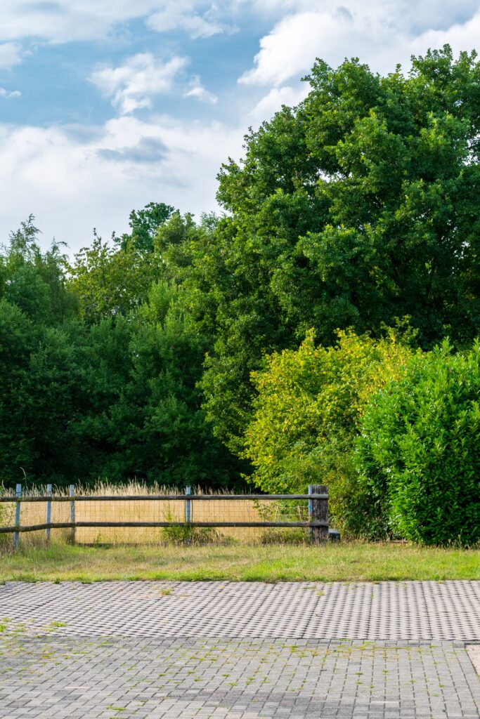 Vereinsheim Festsaal